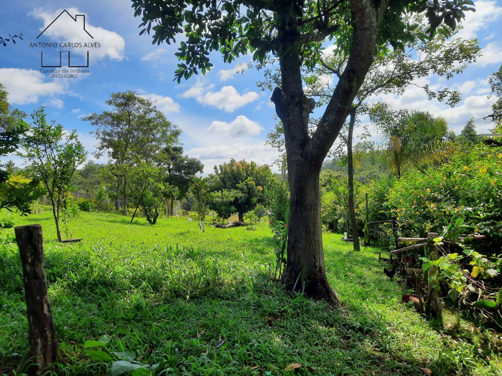 Chácara, 4 quartos, 3000 m² - Foto 52