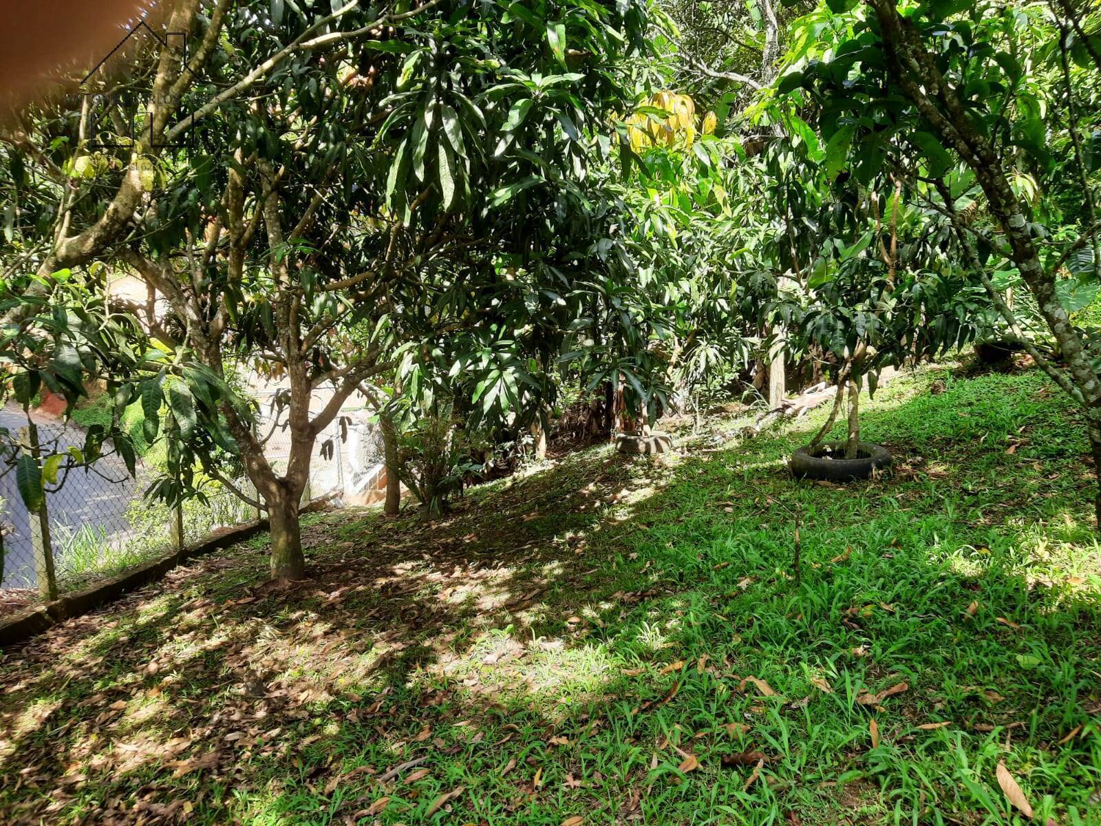 Chácara, 4 quartos, 3000 m² - Foto 55