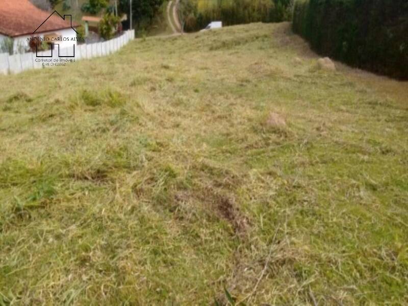 Terreno, 2001 m² - Foto 4