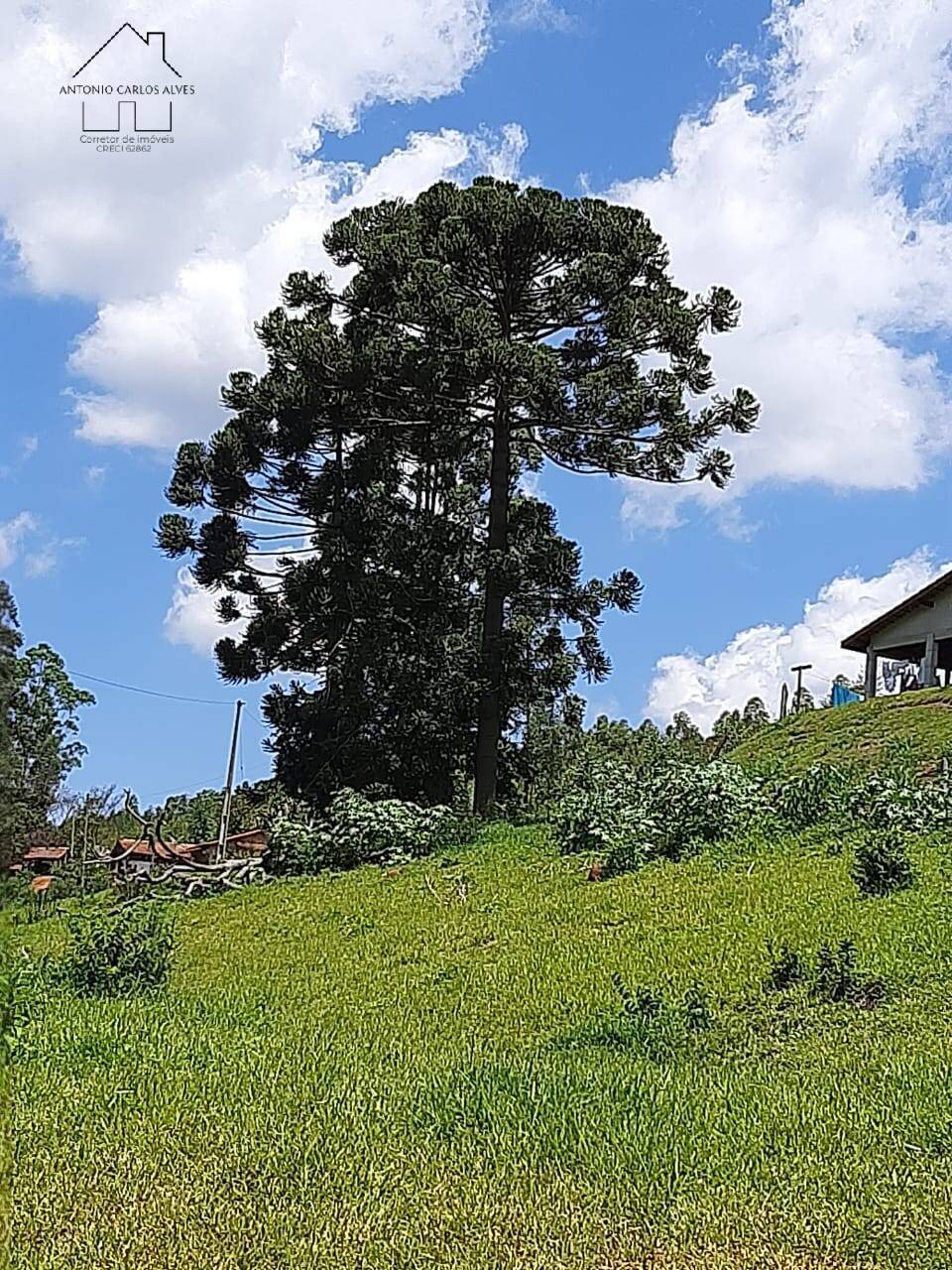 Sítio, 6 quartos, 2 hectares - Foto 35