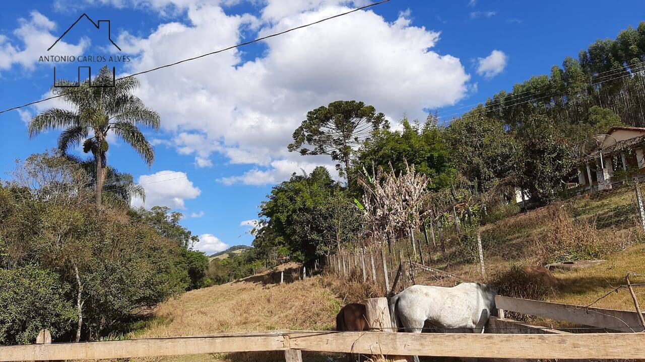 Sítio, 6 quartos, 2 hectares - Foto 30