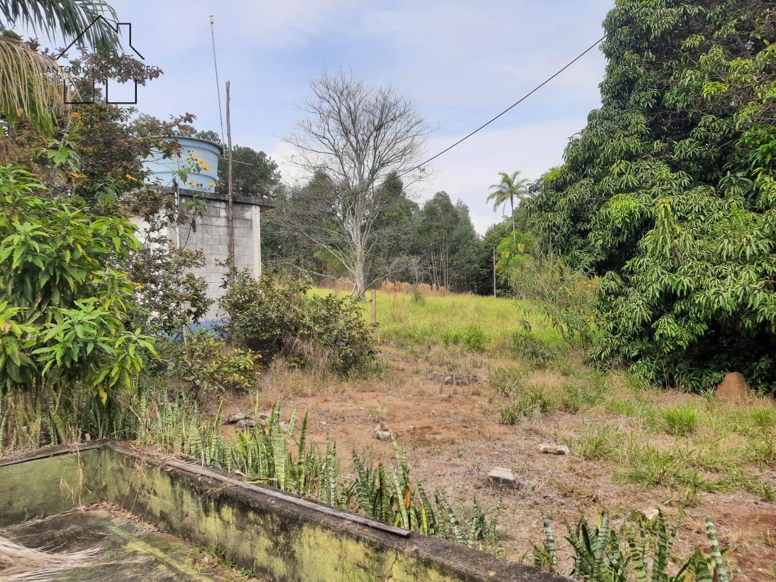 Sítio, 2 quartos, 2 hectares - Foto 30