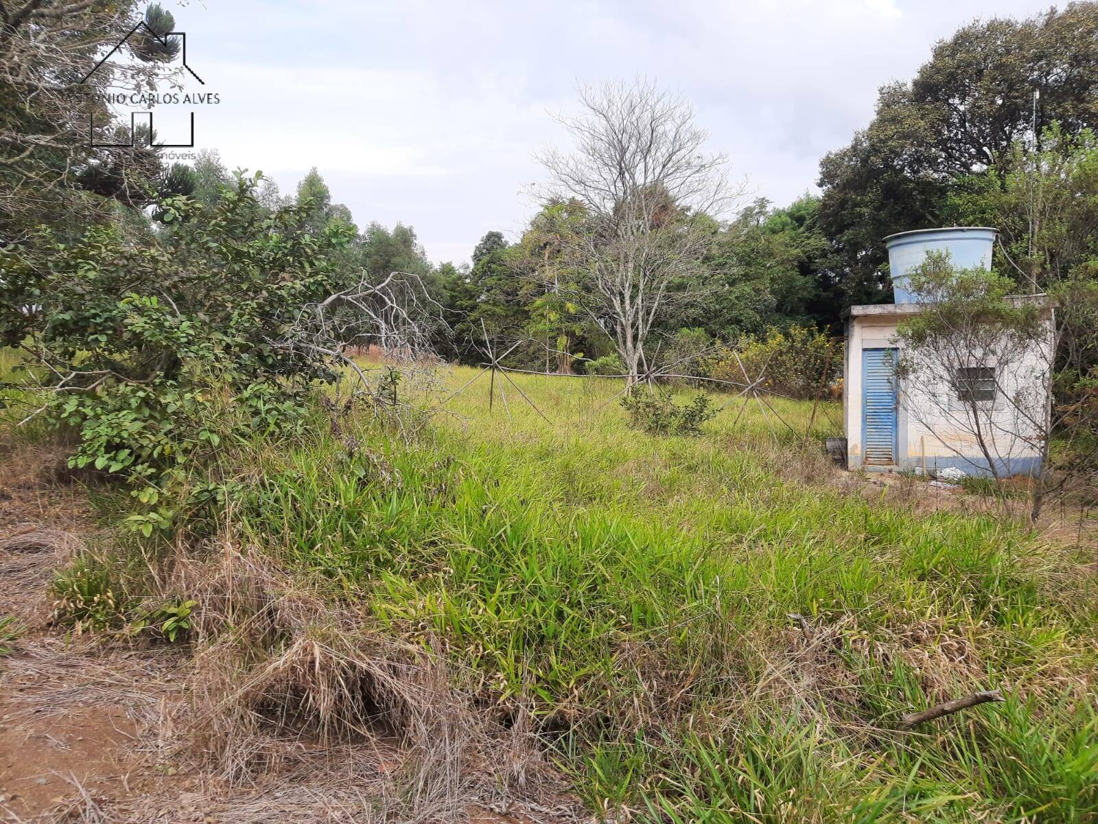 Sítio, 2 quartos, 2 hectares - Foto 34