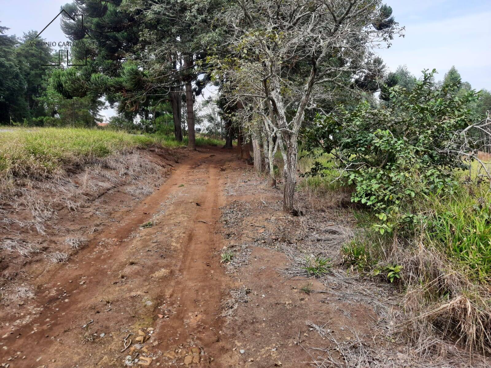 Sítio, 2 quartos, 2 hectares - Foto 36