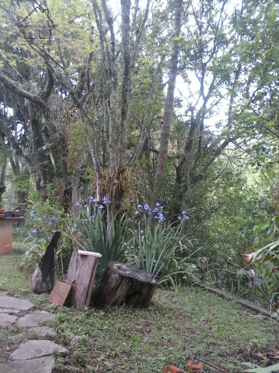 Sítio, 3 quartos, 6 hectares - Foto 75
