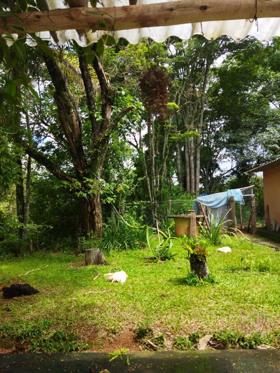 Sítio, 3 quartos, 6 hectares - Foto 74