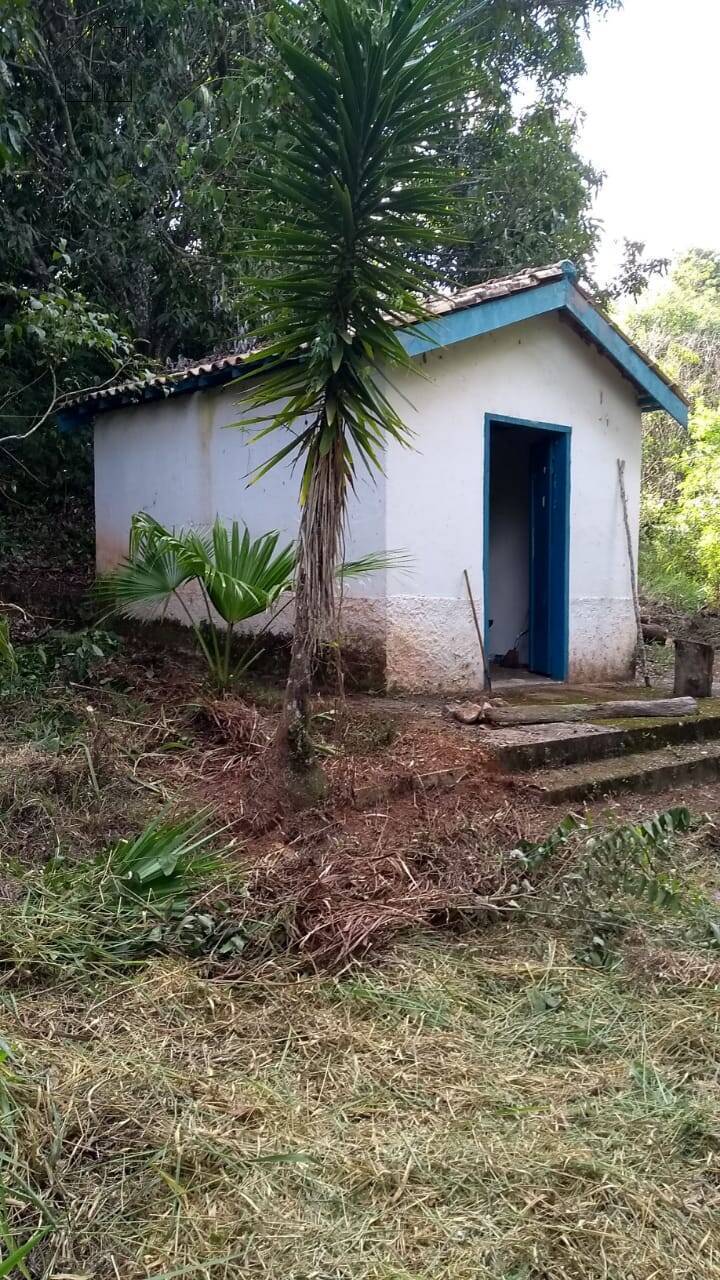 Sítio, 3 quartos, 6 hectares - Foto 72