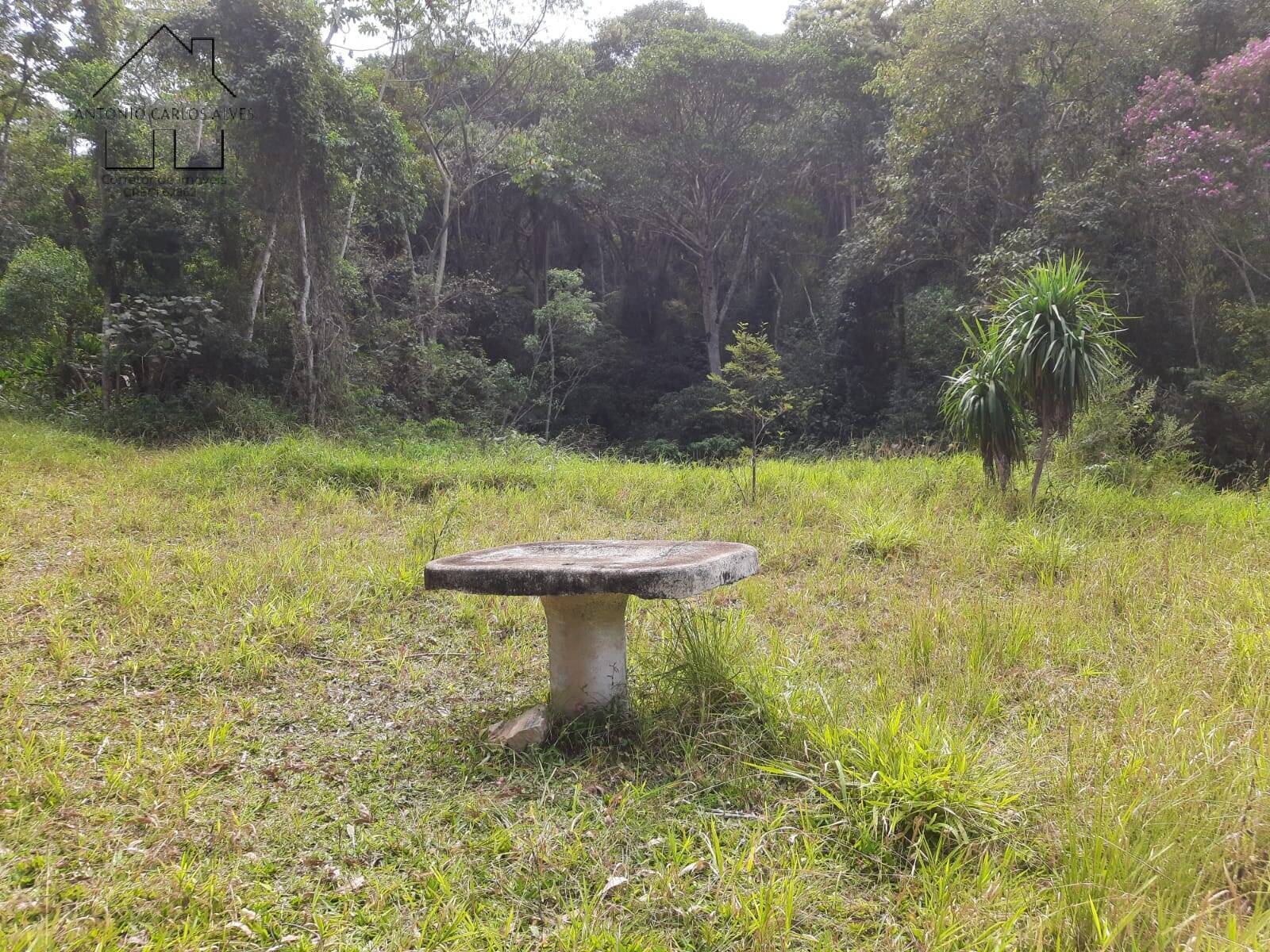 Chácara à venda com 4 quartos, 1000m² - Foto 9