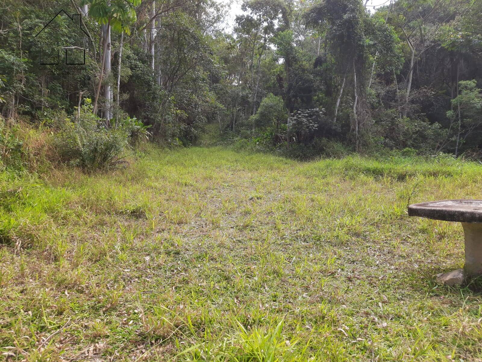 Chácara à venda com 4 quartos, 1000m² - Foto 11
