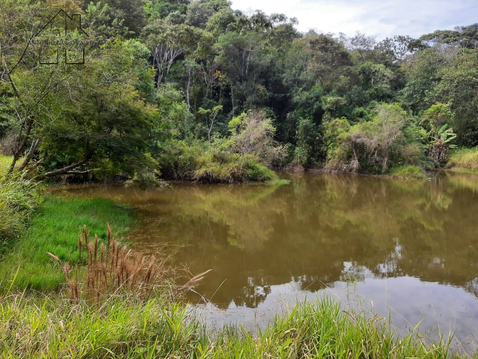 Chácara à venda com 4 quartos, 1000m² - Foto 14