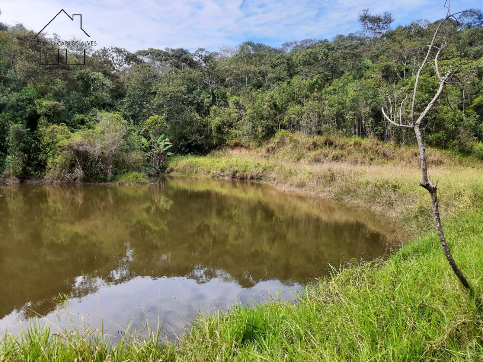 Chácara à venda com 4 quartos, 1000m² - Foto 13