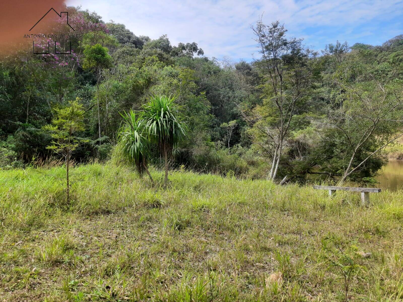 Chácara à venda com 4 quartos, 1000m² - Foto 17