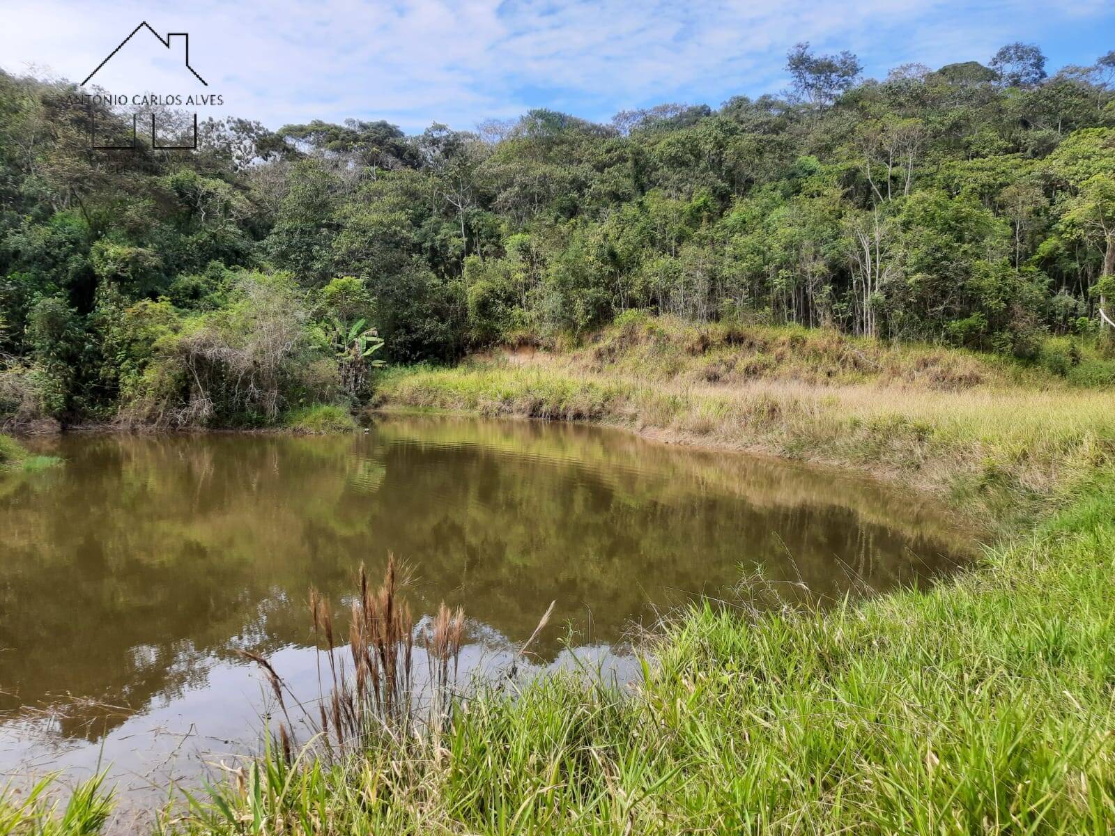 Chácara à venda com 4 quartos, 1000m² - Foto 16