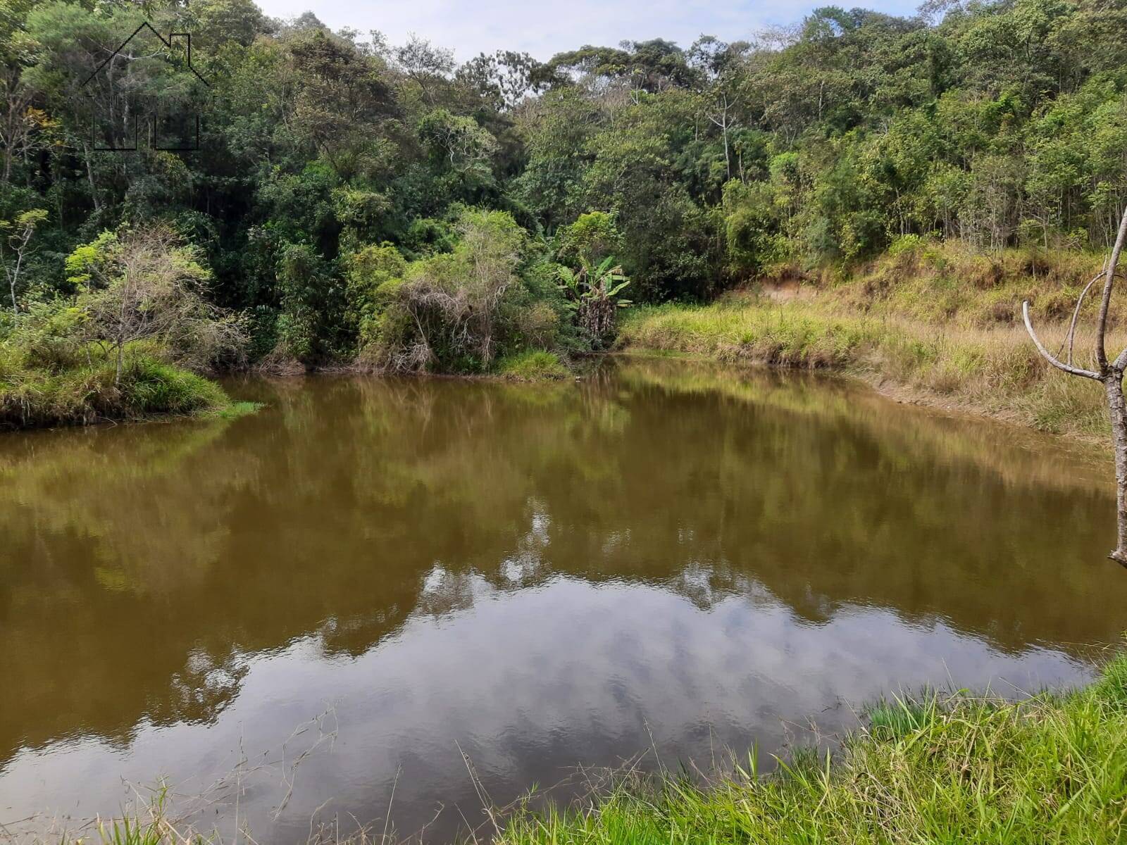 Chácara à venda com 4 quartos, 1000m² - Foto 15