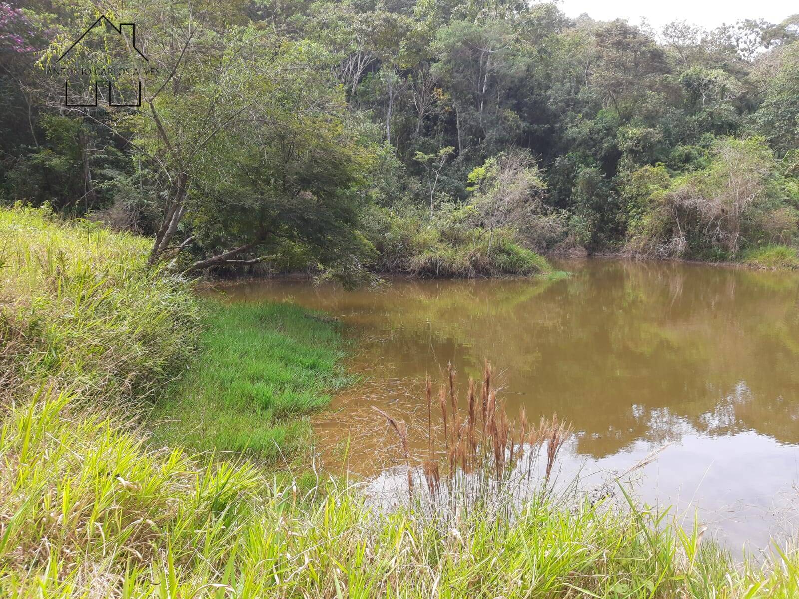 Chácara à venda com 4 quartos, 1000m² - Foto 19