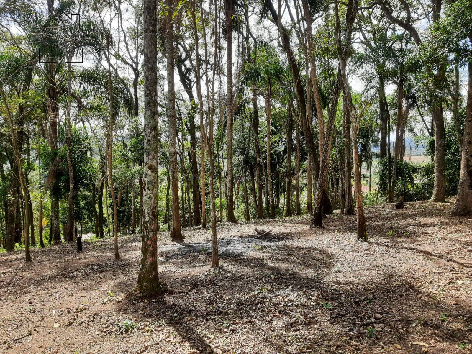 Chácara à venda com 4 quartos, 1000m² - Foto 27