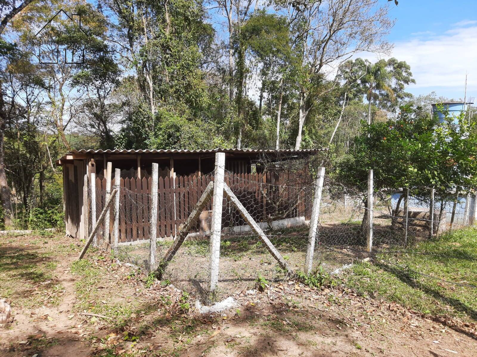 Chácara à venda com 4 quartos, 1000m² - Foto 28