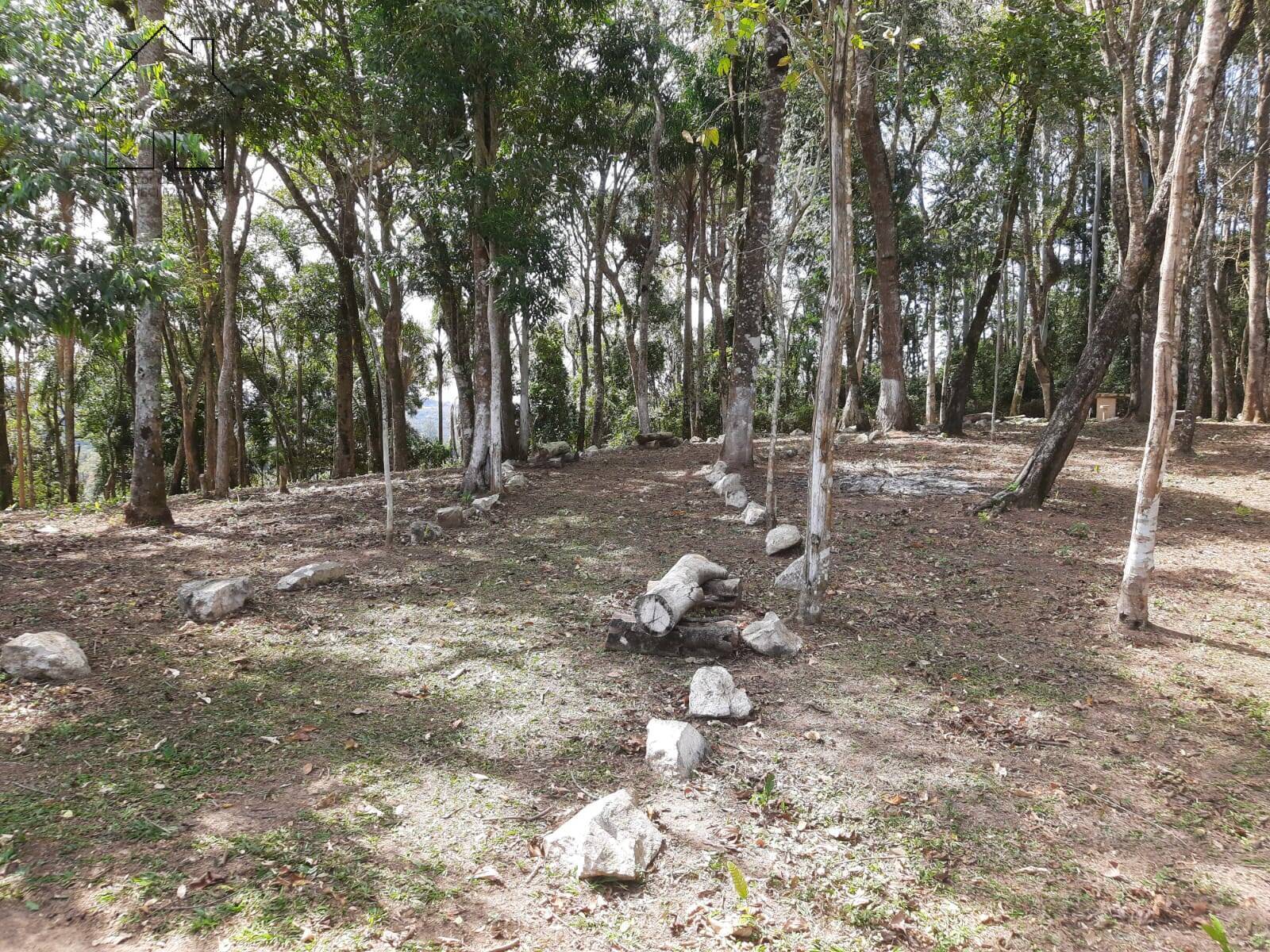 Chácara à venda com 4 quartos, 1000m² - Foto 30