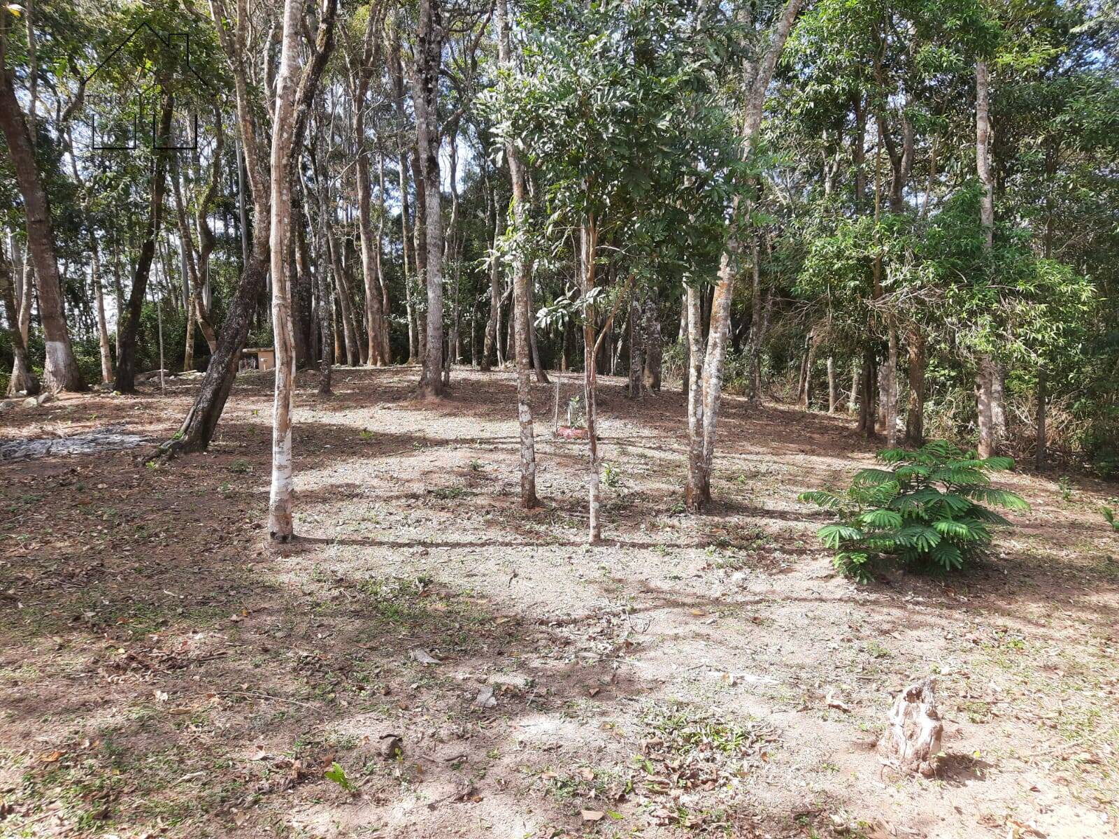 Chácara à venda com 4 quartos, 1000m² - Foto 26