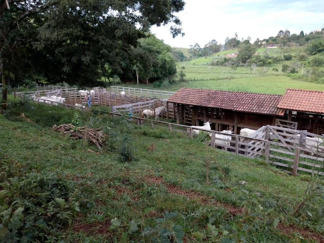 Sítio, 3 quartos, 53 hectares - Foto 3