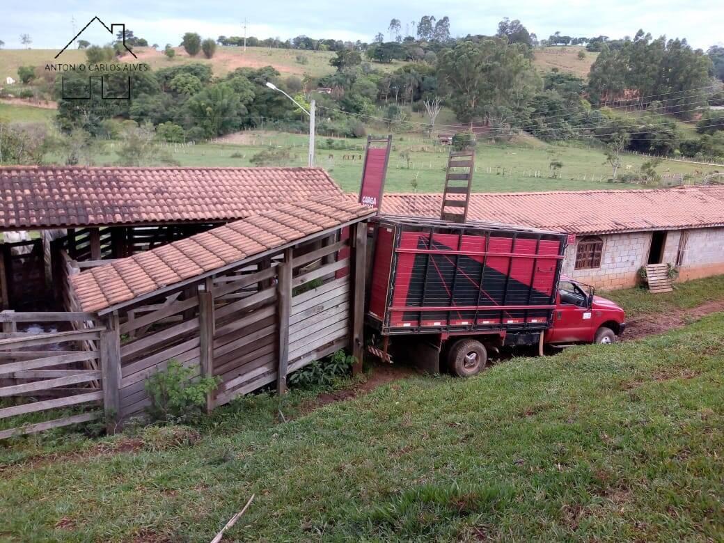 Sítio, 3 quartos, 53 hectares - Foto 11