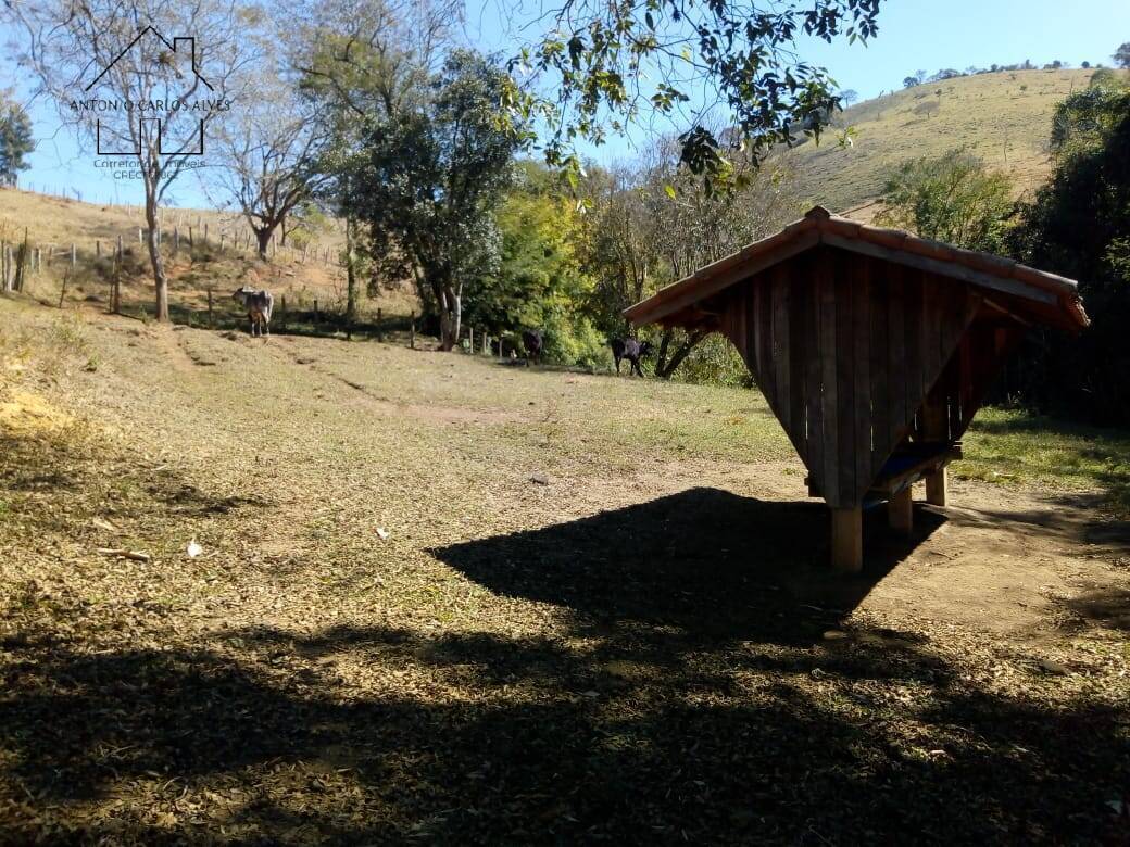 Sítio, 3 quartos, 53 hectares - Foto 7