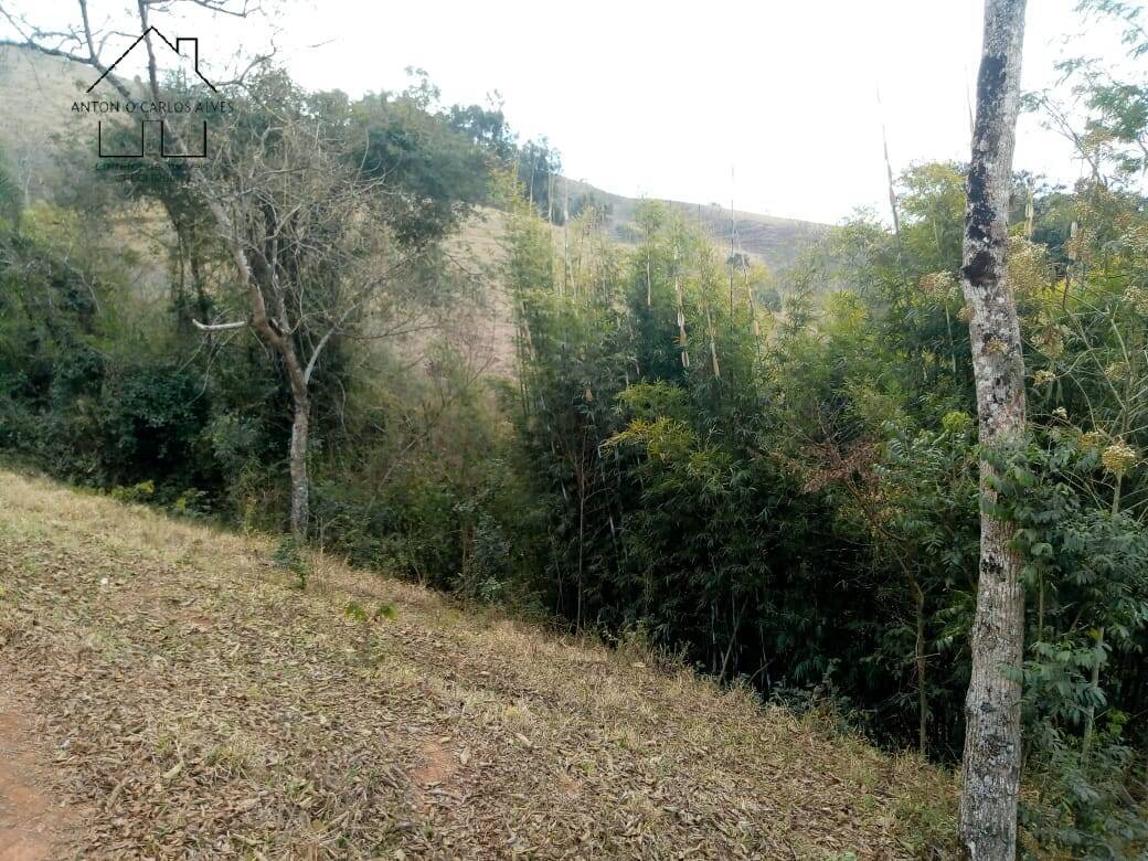 Sítio, 3 quartos, 53 hectares - Foto 13