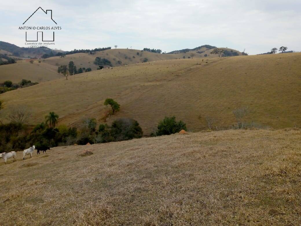 Sítio, 3 quartos, 53 hectares - Foto 18