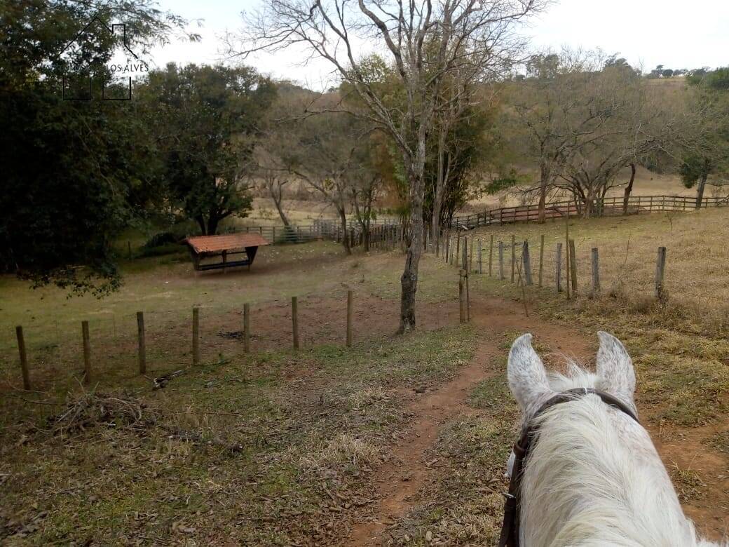 Sítio, 3 quartos, 53 hectares - Foto 14