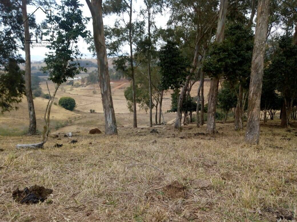 Sítio, 3 quartos, 53 hectares - Foto 17