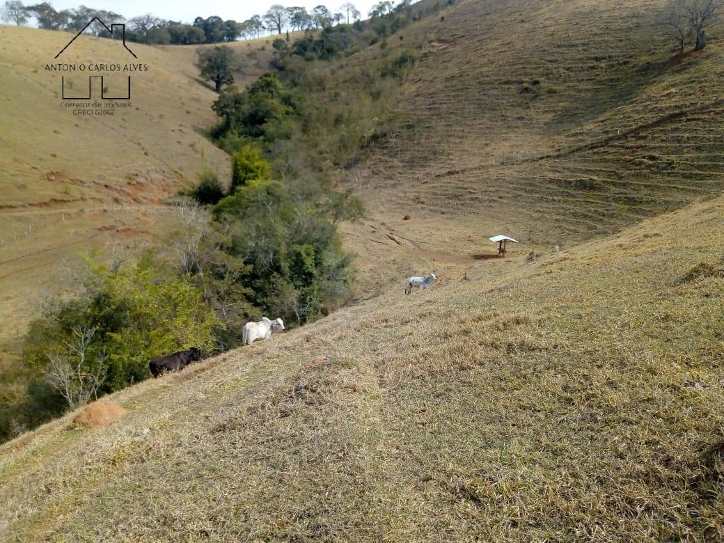 Sítio, 3 quartos, 53 hectares - Foto 21