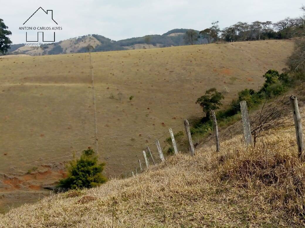 Sítio, 3 quartos, 53 hectares - Foto 22