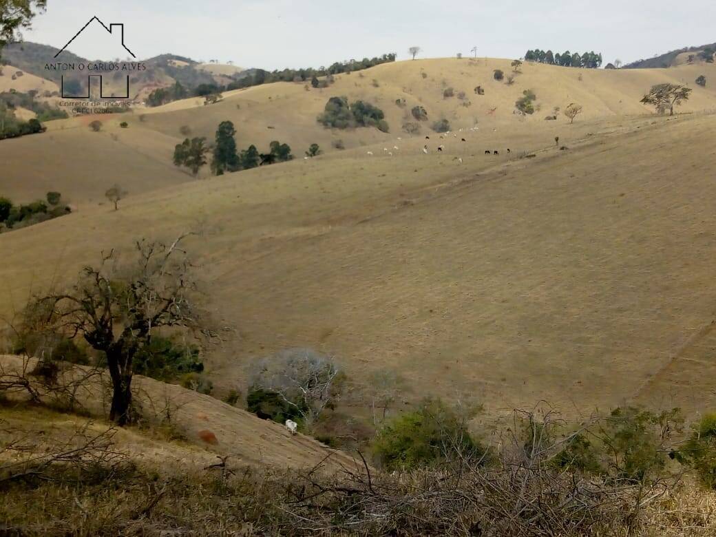 Sítio, 3 quartos, 53 hectares - Foto 19