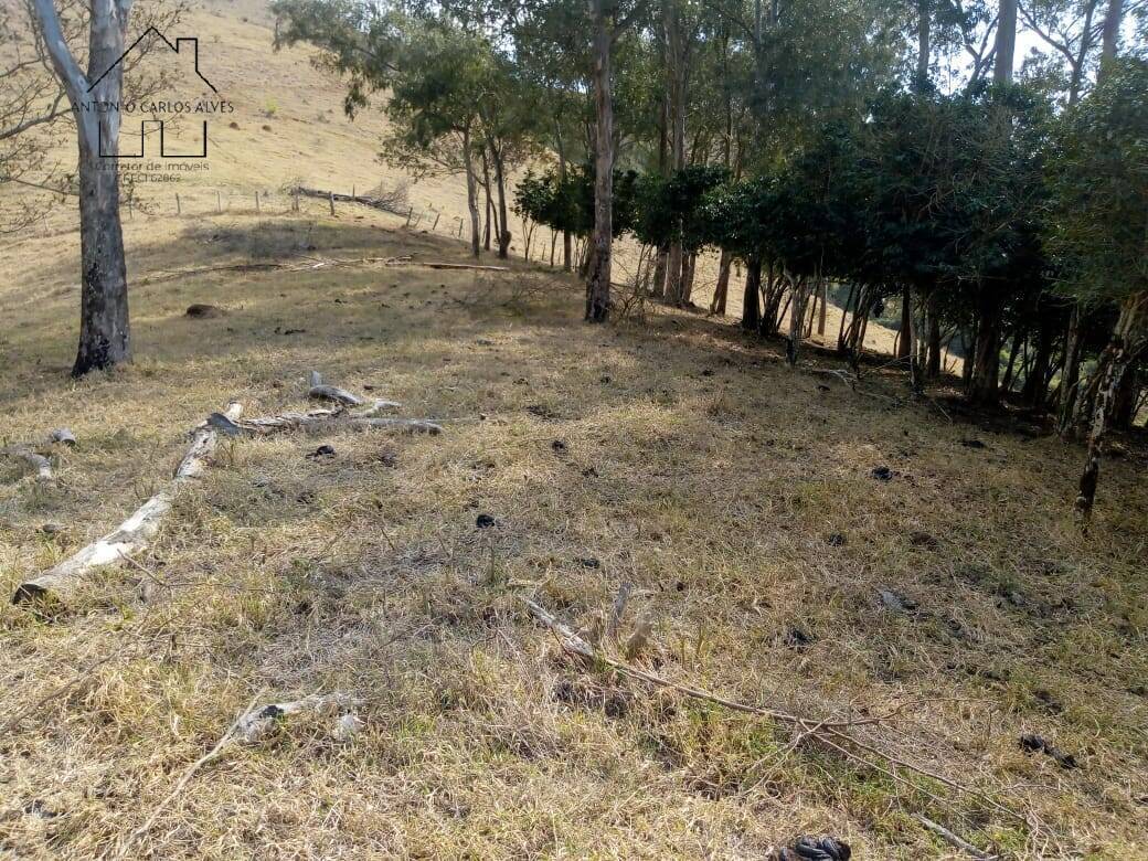 Sítio, 3 quartos, 53 hectares - Foto 20