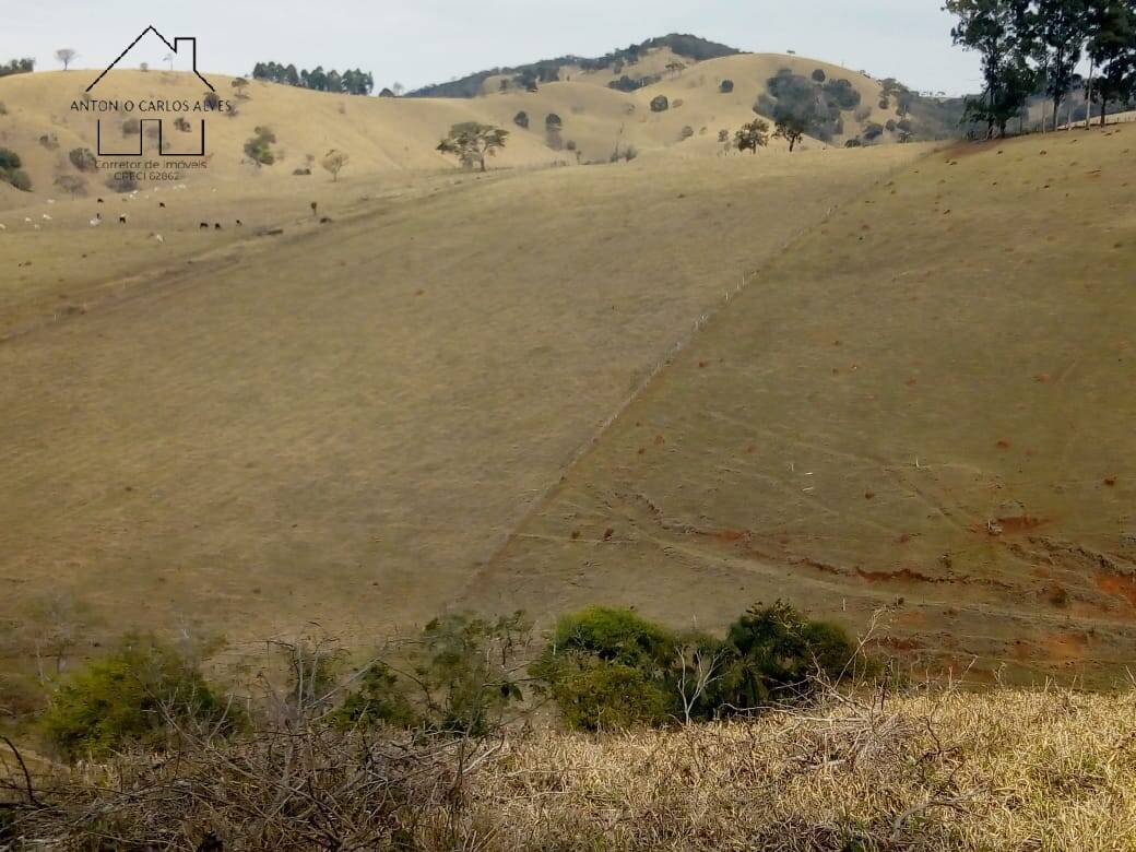 Sítio, 3 quartos, 53 hectares - Foto 26