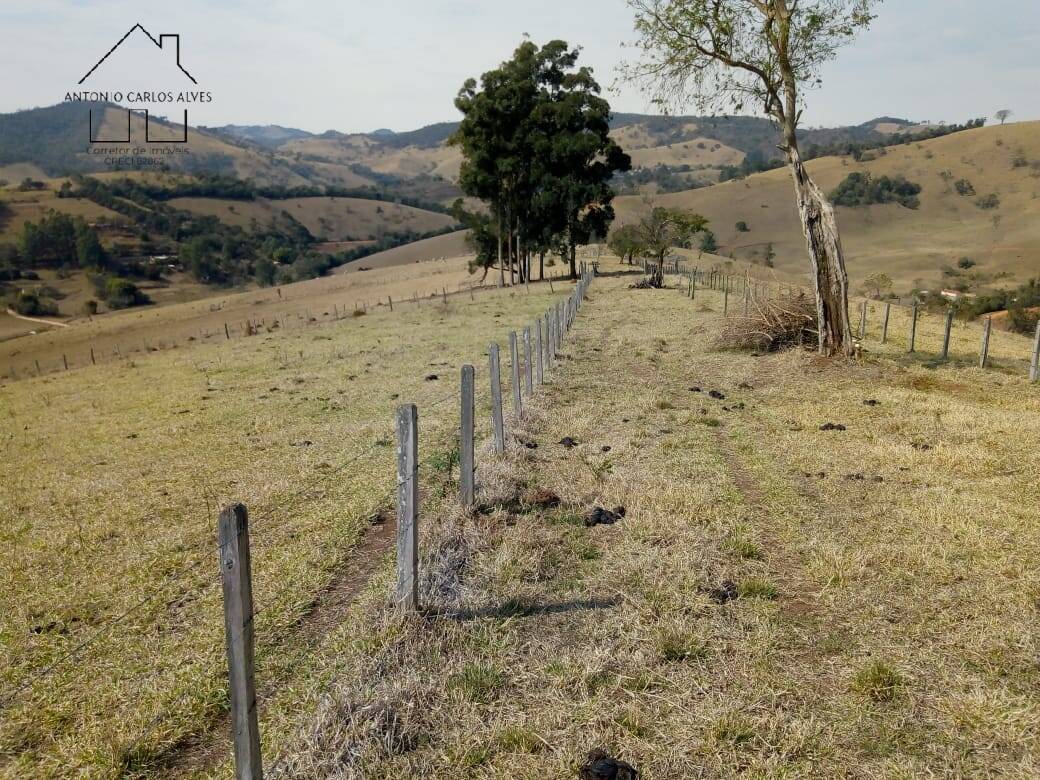 Sítio, 3 quartos, 53 hectares - Foto 27