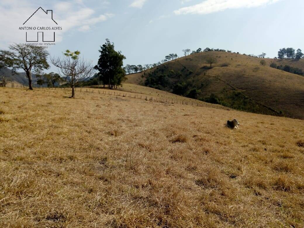 Sítio, 3 quartos, 53 hectares - Foto 30