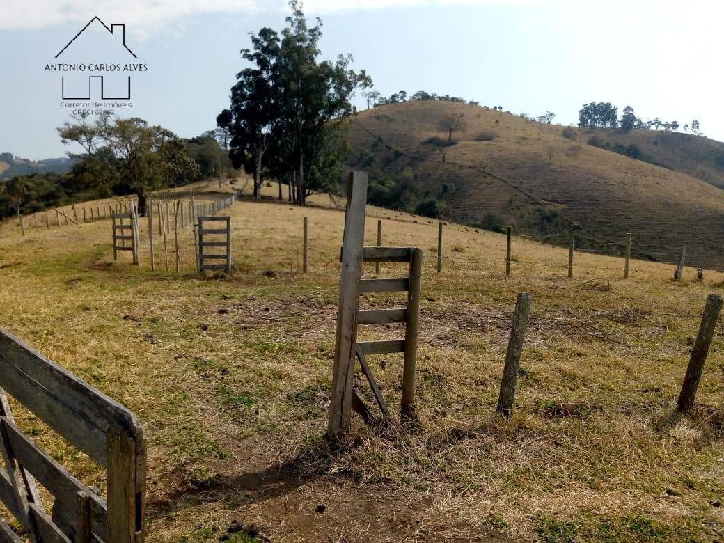 Sítio, 3 quartos, 53 hectares - Foto 31