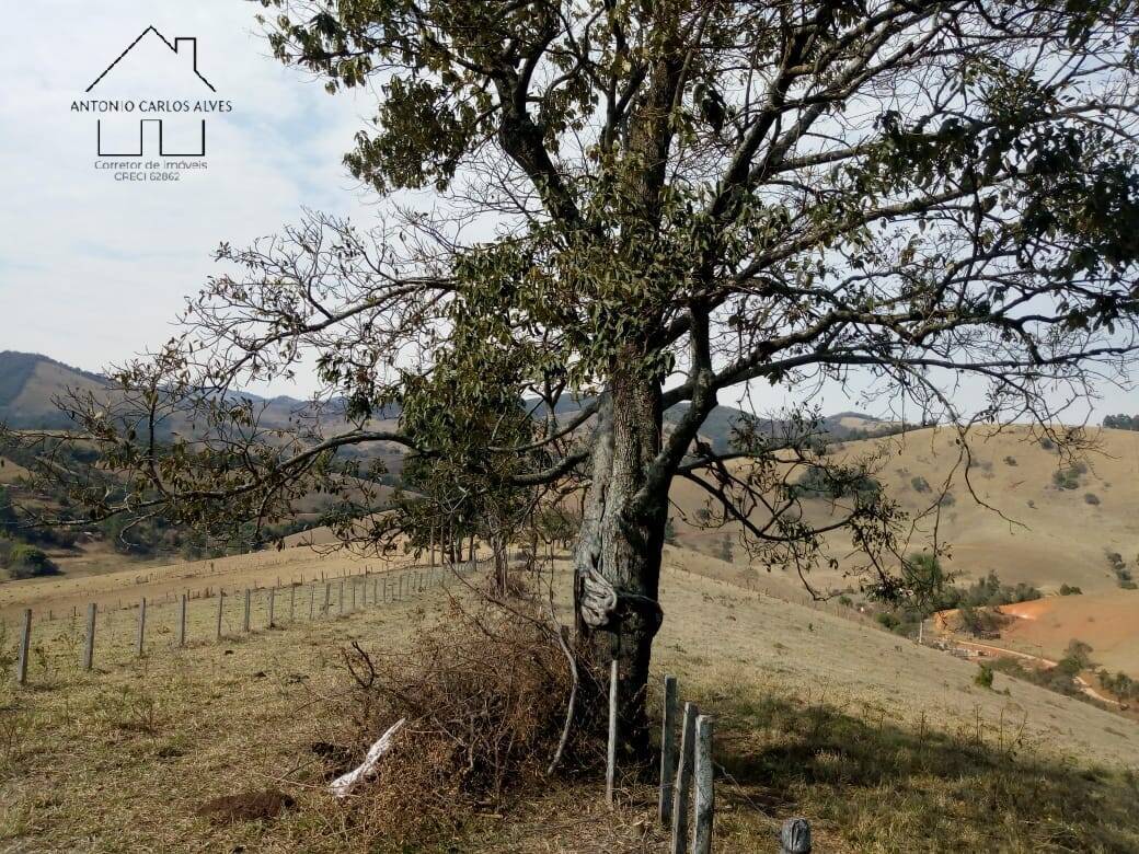 Sítio, 3 quartos, 53 hectares - Foto 28