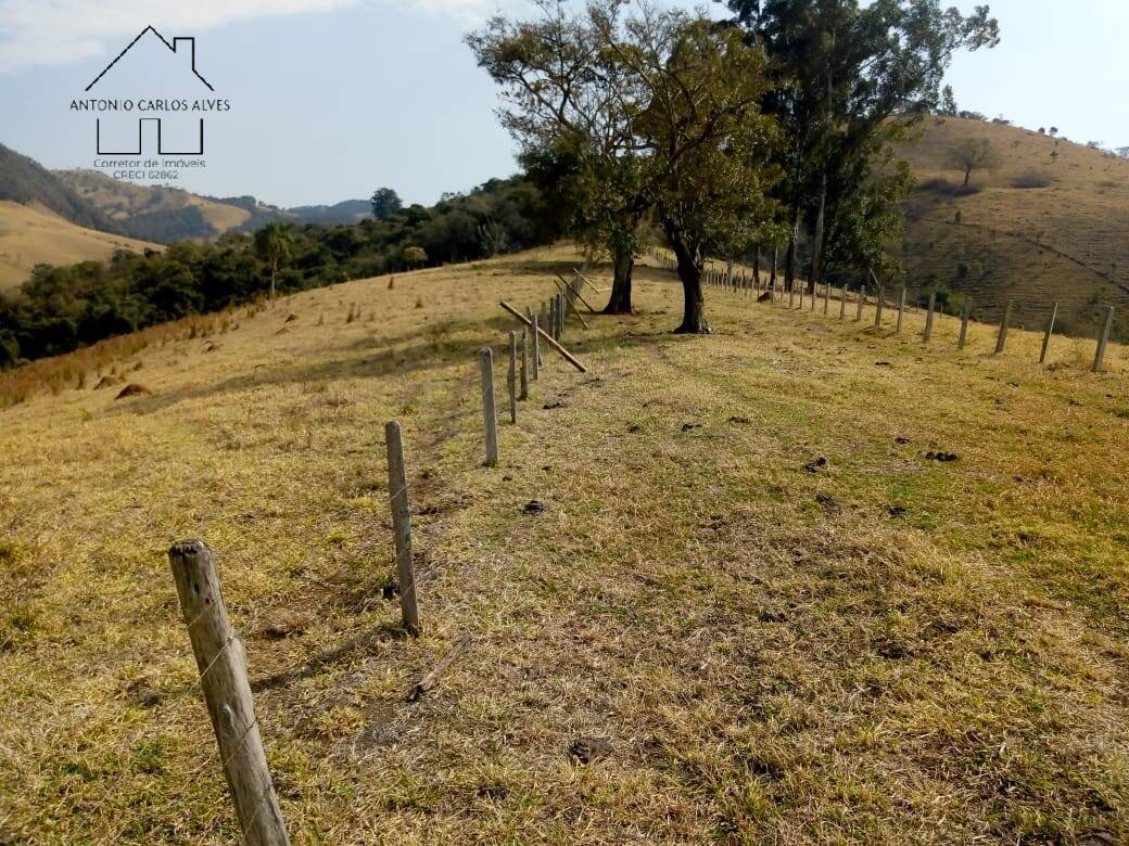 Sítio, 3 quartos, 53 hectares - Foto 33