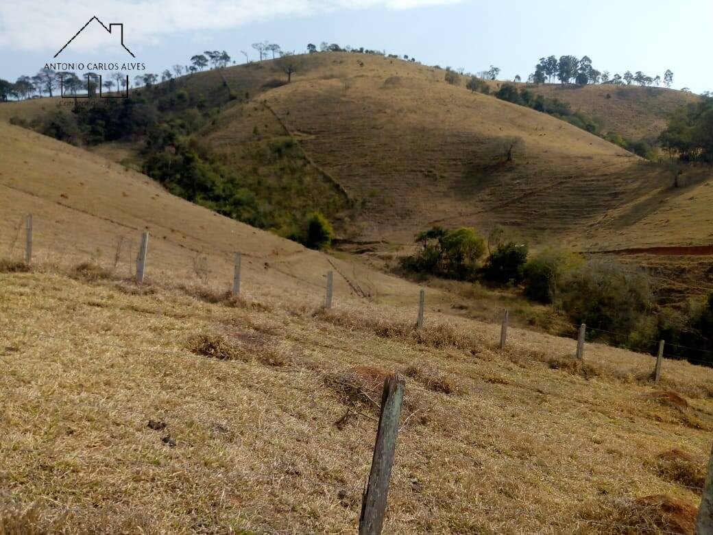 Sítio, 3 quartos, 53 hectares - Foto 37