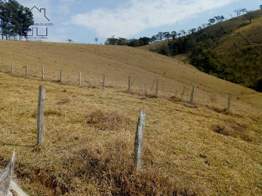 Sítio, 3 quartos, 53 hectares - Foto 35