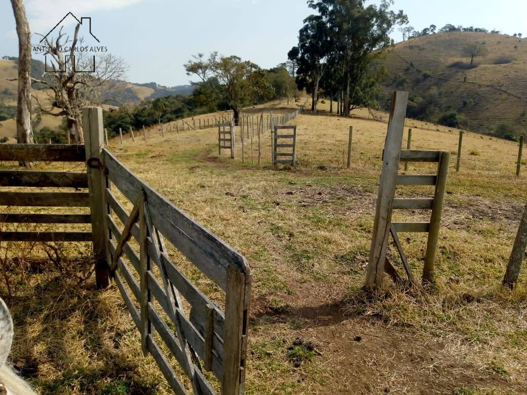 Sítio, 3 quartos, 53 hectares - Foto 32