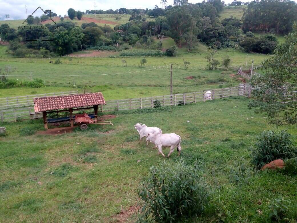 Sítio, 3 quartos, 53 hectares - Foto 43