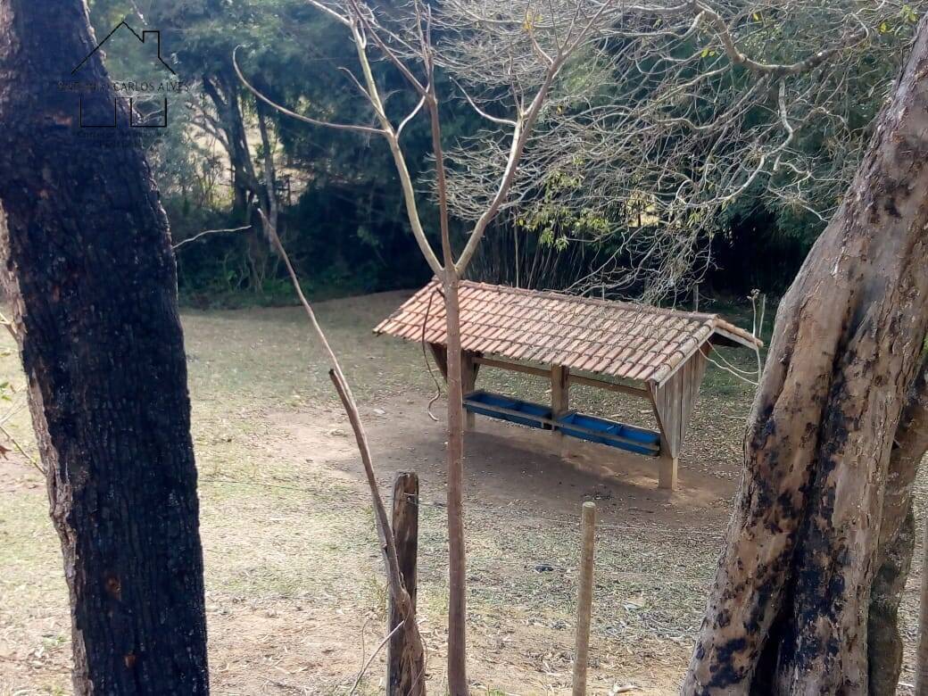 Sítio, 3 quartos, 53 hectares - Foto 41