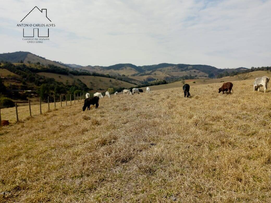 Sítio, 3 quartos, 53 hectares - Foto 38