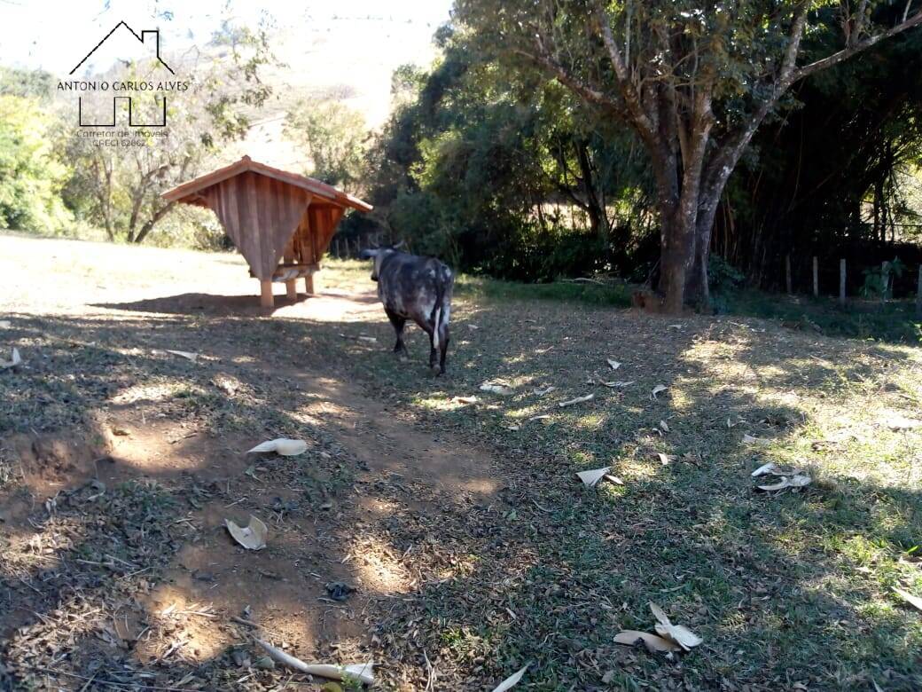 Sítio, 3 quartos, 53 hectares - Foto 46