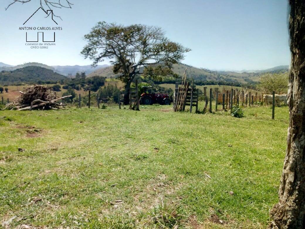 Sítio, 3 quartos, 53 hectares - Foto 44