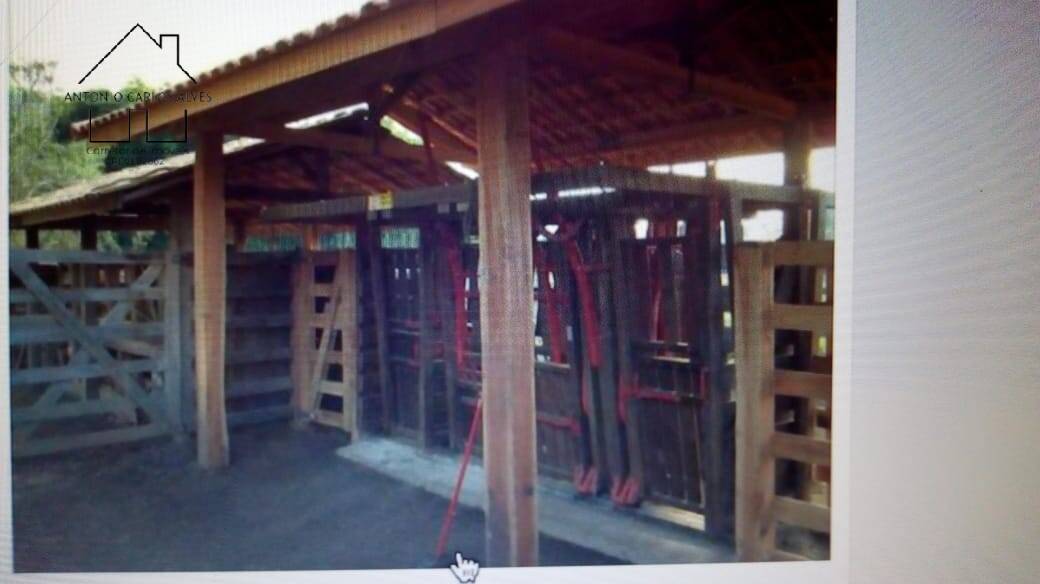 Sítio, 3 quartos, 53 hectares - Foto 48