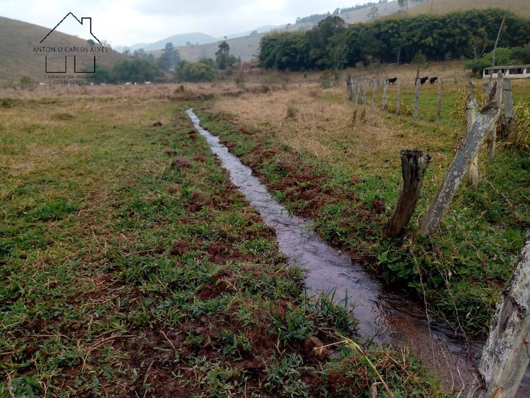 Sítio, 3 quartos, 53 hectares - Foto 47